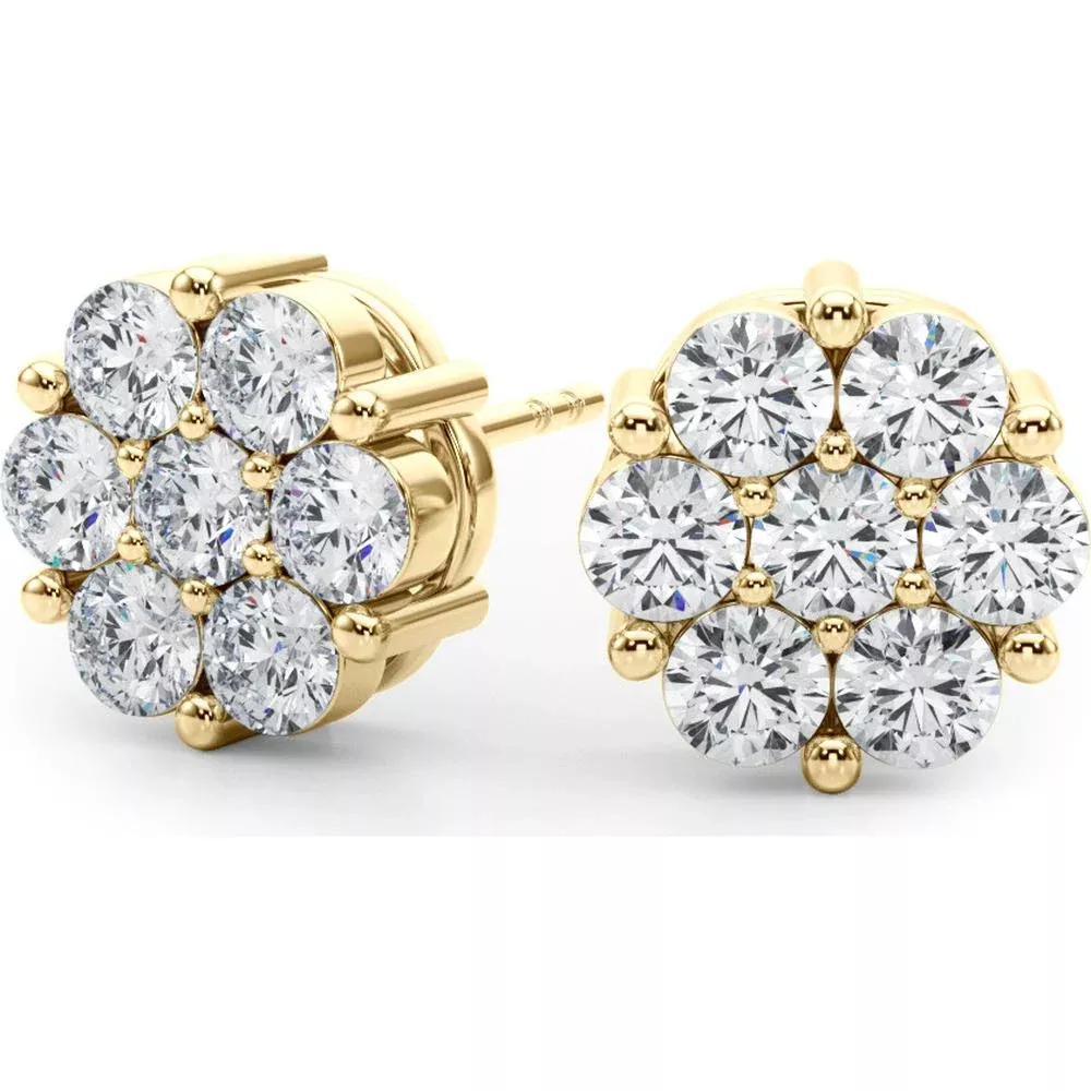 14K Yellow Gold Lab Diamond Earrings Cluster - 0.49 Carat Total Weight by Robinson's Jewelers
